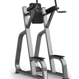 Leg Raise and Dip Station FW-2025