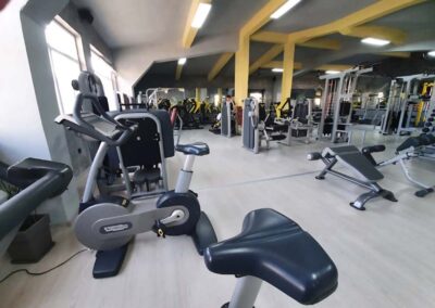 Jungle Gym – 1