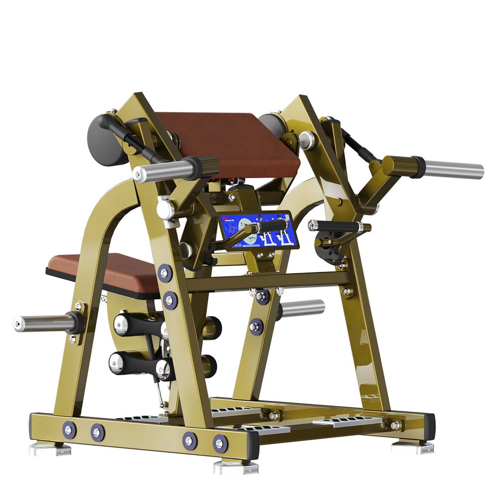 Seated Biceps Curl Machine LD-1005