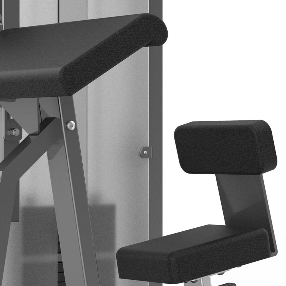Biceps Curl / Triceps Extension Machine PF-1002 - Image 4