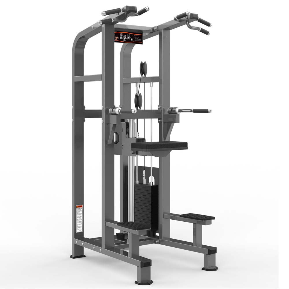 Assisted Chin-Up / Dip Machine PF-1008